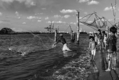 IIP Online Student Photography